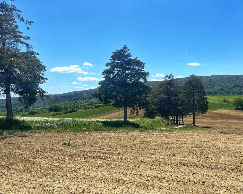Montecastrilli-Dunarobba